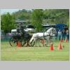 DSCF0309.JPG