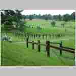 DSCF0016.JPG