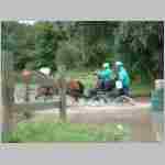 DSCF0065.JPG