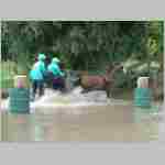 DSCF0070.JPG
