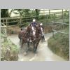DSCF0066.JPG