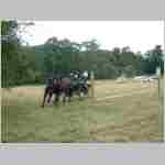 DSCF0055.JPG
