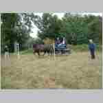 DSCF0057.JPG