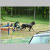 DSCF0019.JPG