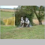 DSCF0109.JPG