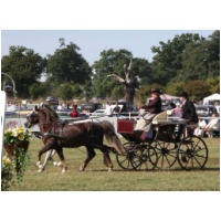 imgp2995.jpg