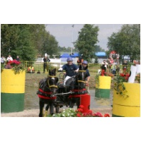 IMG22302.jpg