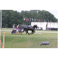 IMG22593.jpg