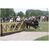 IMG22653.jpg