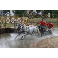 IMG22701.jpg