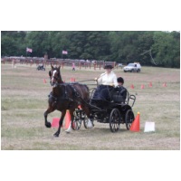 IMG_2847.jpg