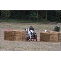 IMG_2883.jpg