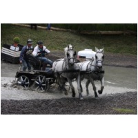 IMG_2928.jpg