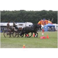 IMG39604.JPG