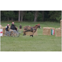 IMG5B4735.JPG