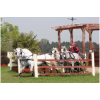 IMGC04121.JPG
