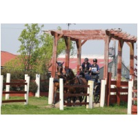 IMGC04136.JPG