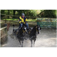 IMGC08239.JPG