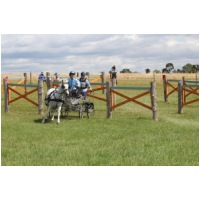 IMGC12705.JPG