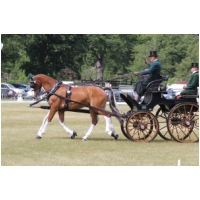 IMGC12052.JPG