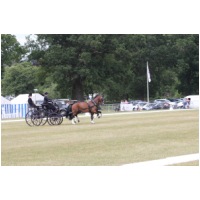 IMGC12071.JPG