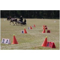 IMGC12217.JPG