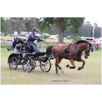 IMGC12514.JPG