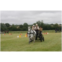 IMG57324.JPG