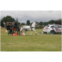 IMG57433.JPG