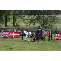 IMGC17320.JPG