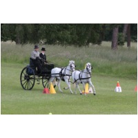 IMGC18070.JPG