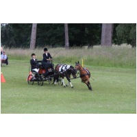 IMGC18076.JPG
