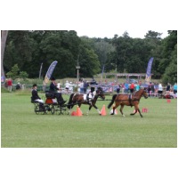 IMGC18078.JPG
