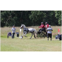 IMGC18192.JPG