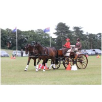 IMGC18613.JPG