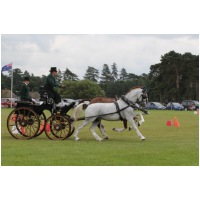 IMGC18677.JPG