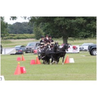 IMGC18759.JPG