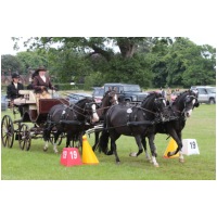 IMGC18766.JPG