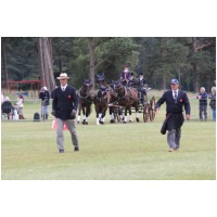 IMGC18809.JPG