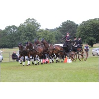 IMGC18814.JPG