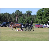 IMGD08082.JPG