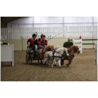 IMGB24906.jpg