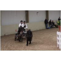 IMGB25034.jpg