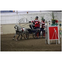 IMGB38201.jpg