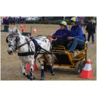 IMGB38537.jpg