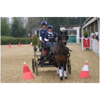 IMGB44757.JPG