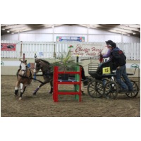 IMGB45450.JPG