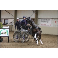 IMGB45809.JPG
