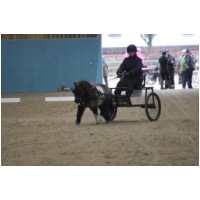 IMG_3117.JPG