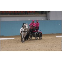 IMG_3124.JPG